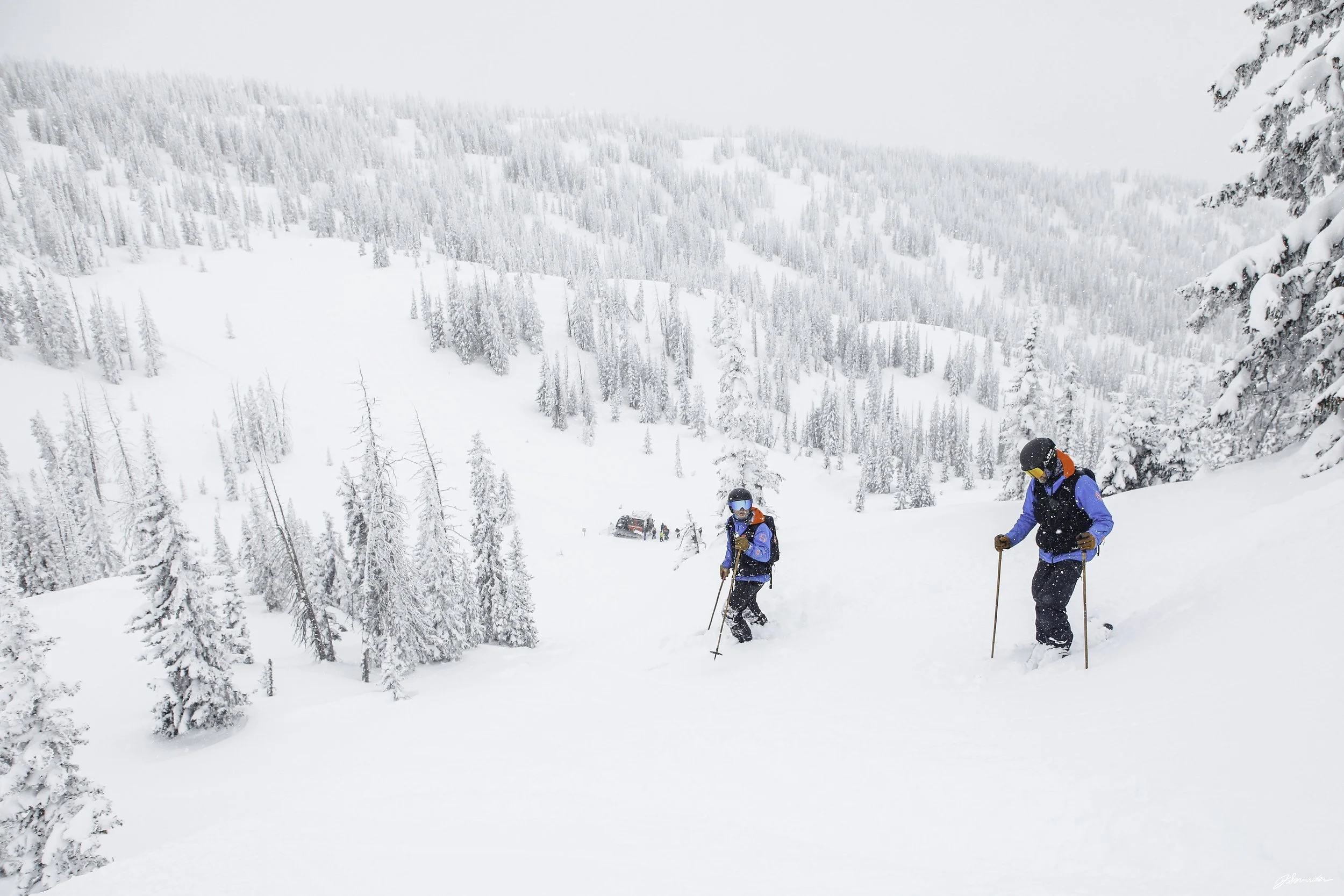 Powdercats_kittyl_post_4_6_25 (1 of 9).jpg