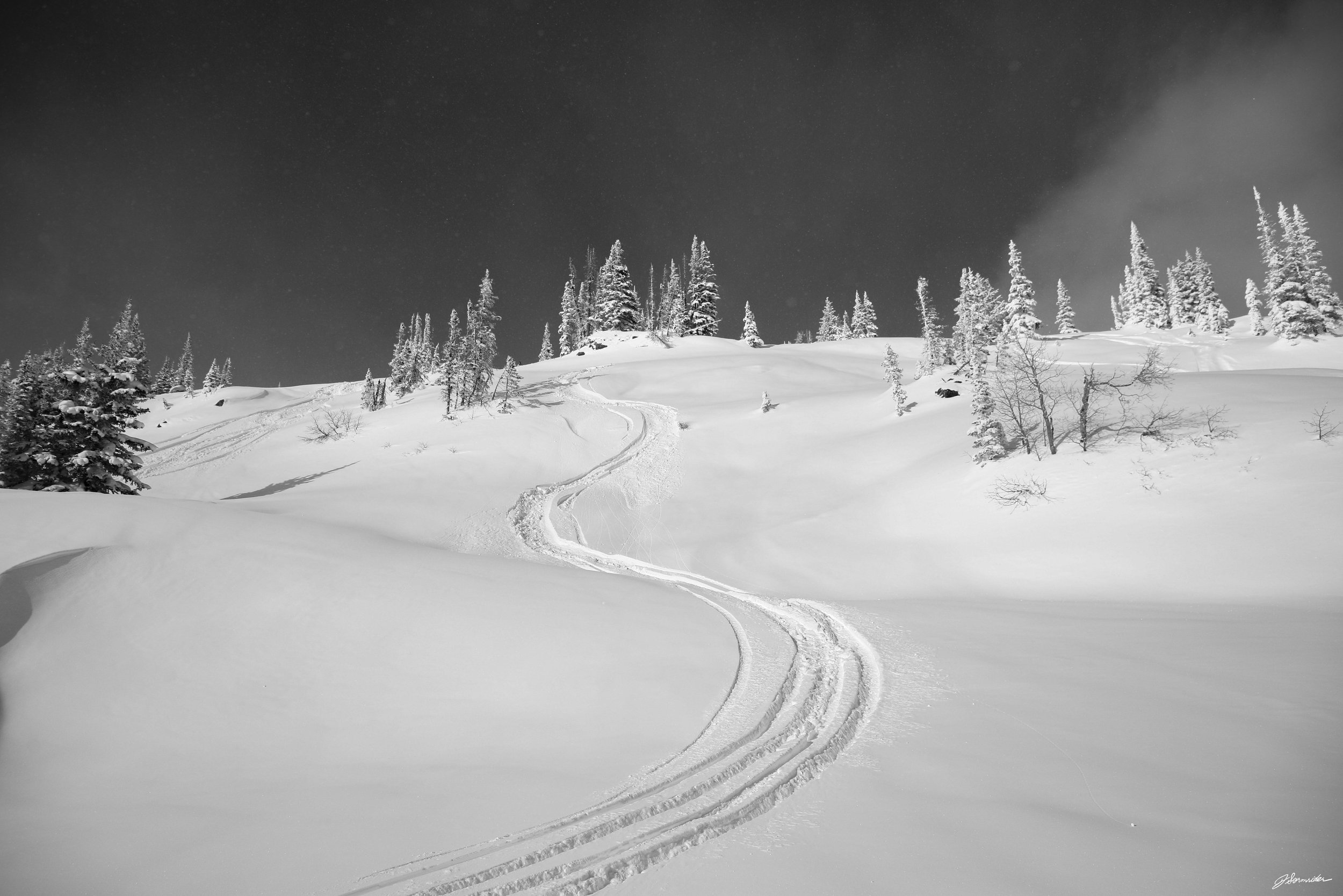 snow_bnw_horizontal (3 of 9).jpg