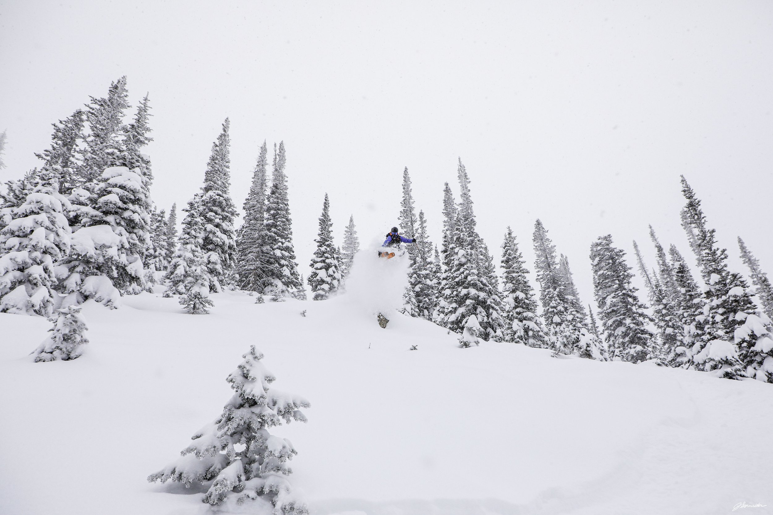 Powdercats_post_4_2_25 (1 of 1).jpg