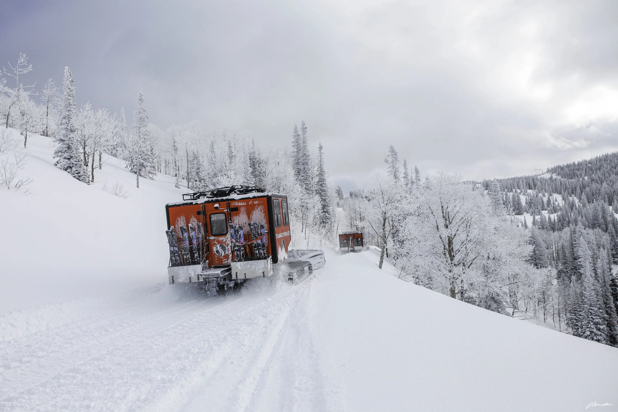 Powdercats_kittyl_post_4_6_25 (5 of 9).jpg