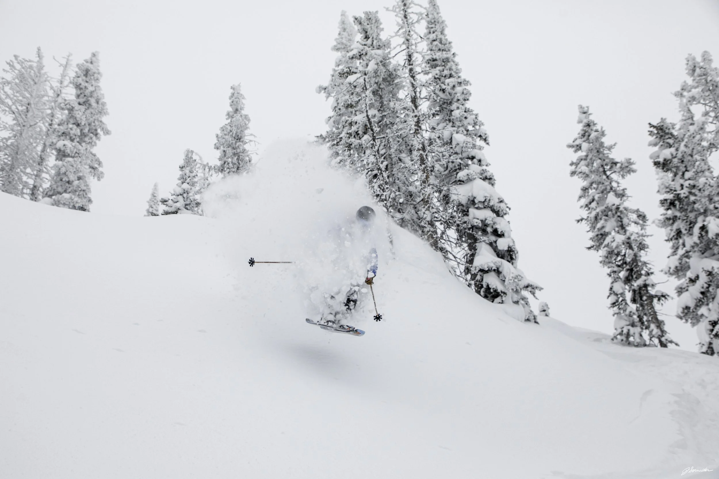 Powdercats_pittedl_post_5_7_25 (7 of 10).jpg