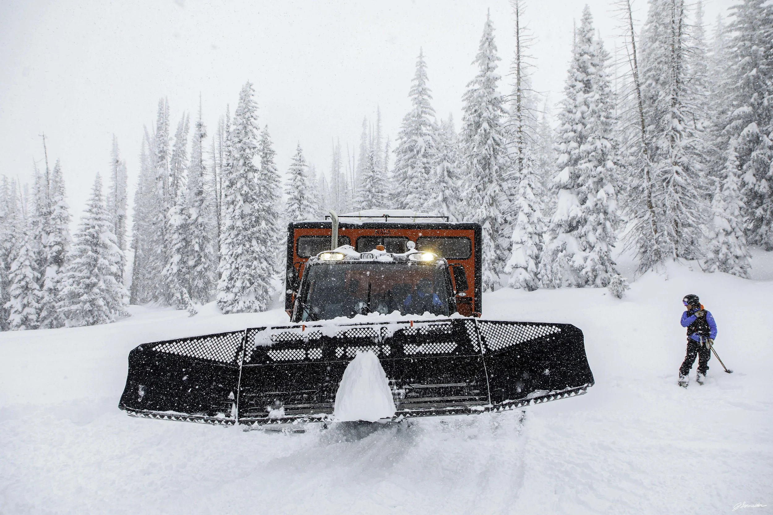 Powdercats_kittyl_post_4_6_25 (2 of 9).jpg