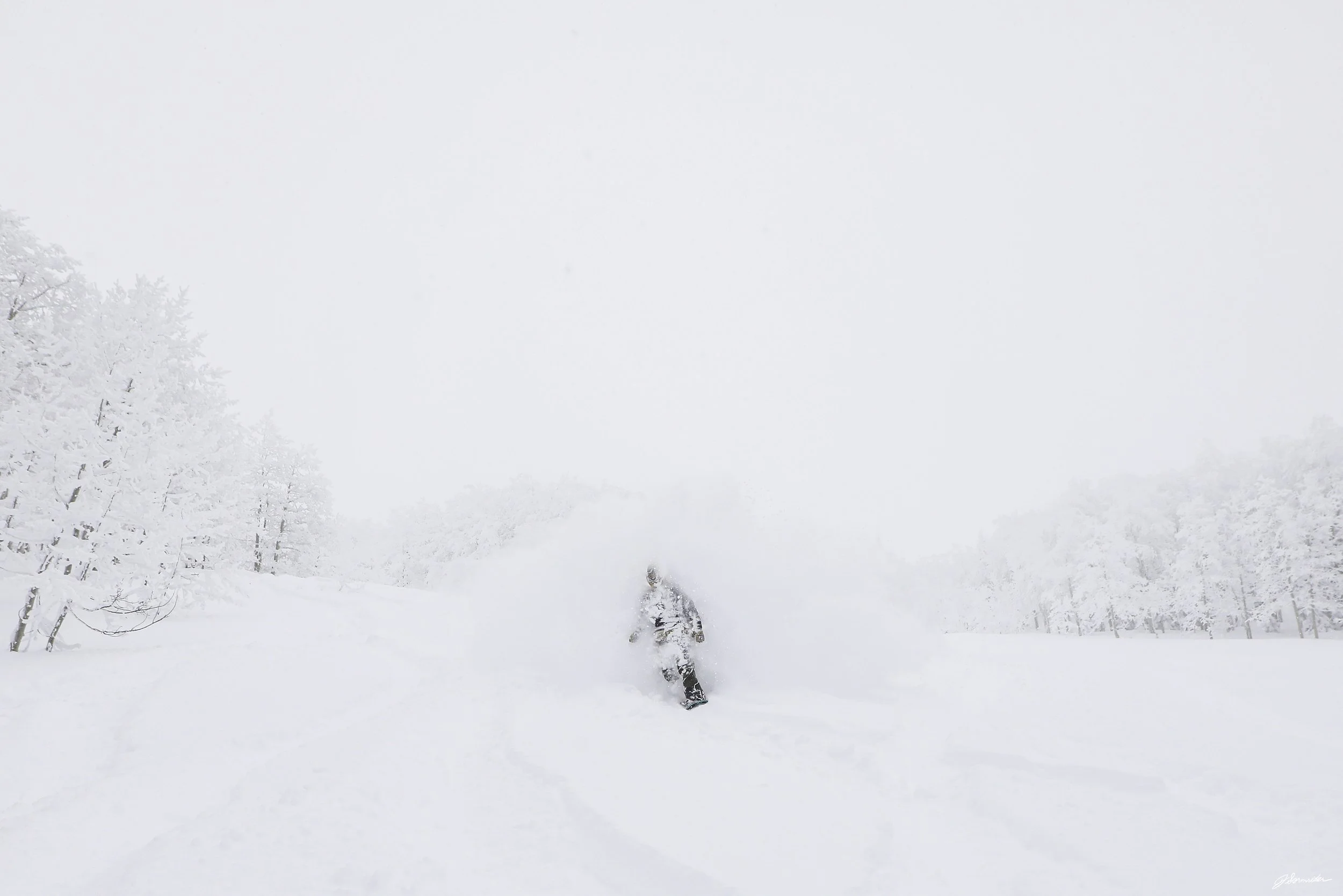 Powdercats_pittedl_post_5_7_25 (1 of 10).jpg