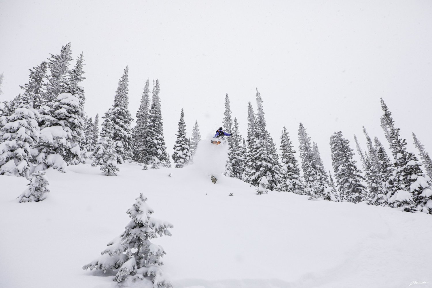 Steamboat Powdercats