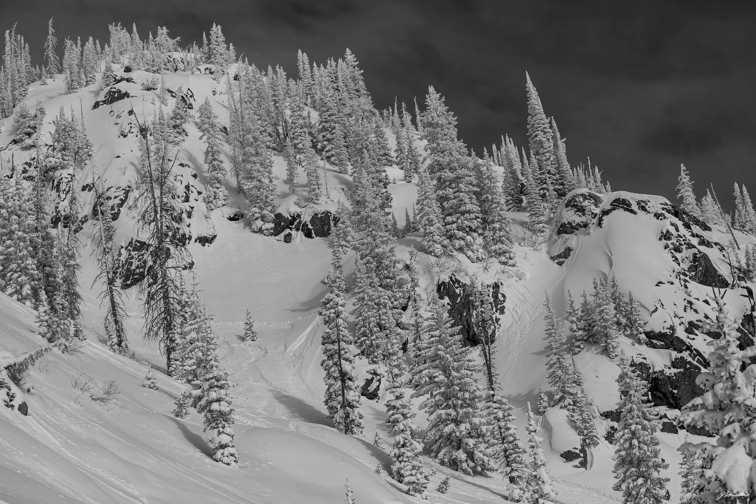 snow_bnw_horizontal (7 of 9).jpg