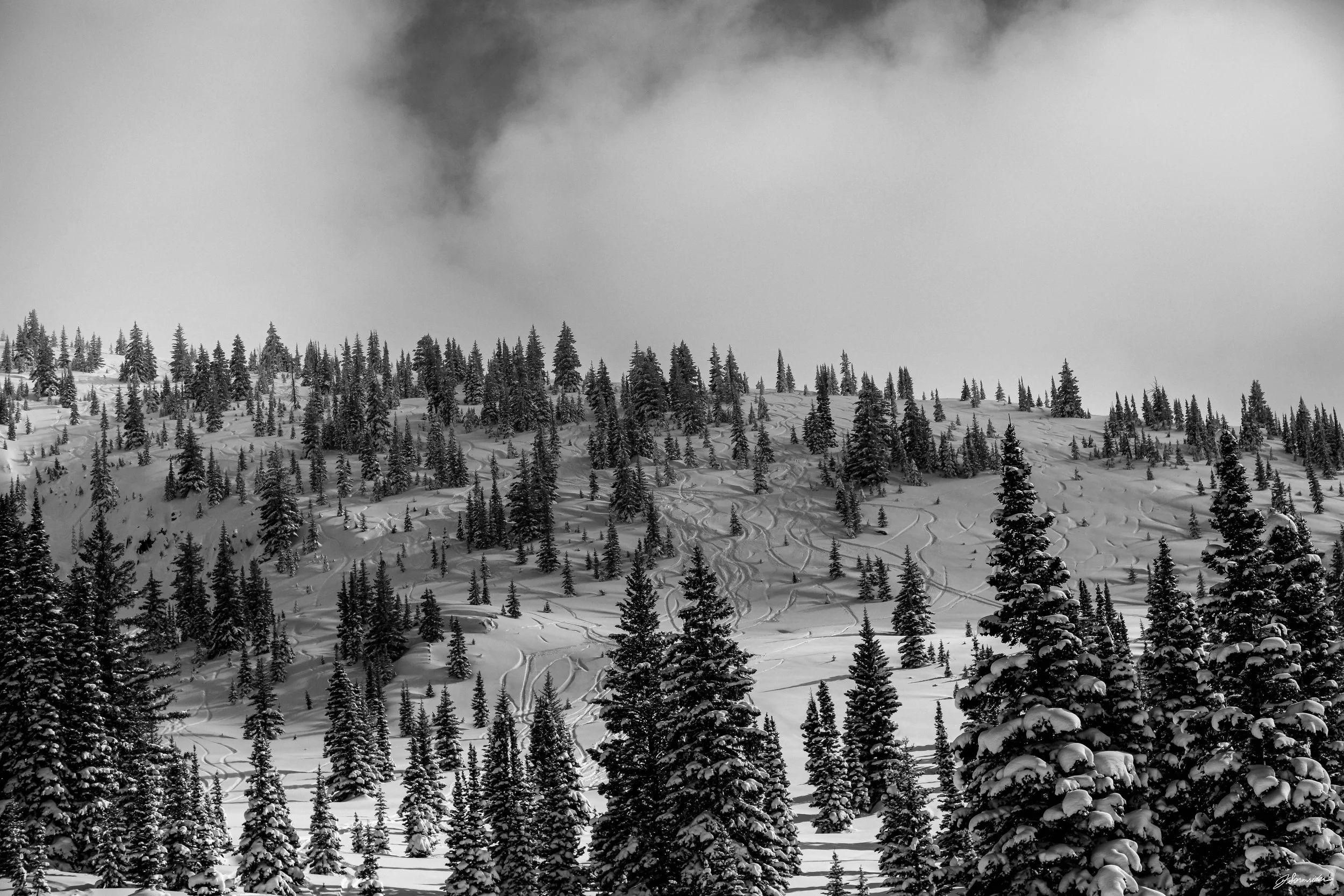 snow_bnw_horizontal (6 of 9).jpg