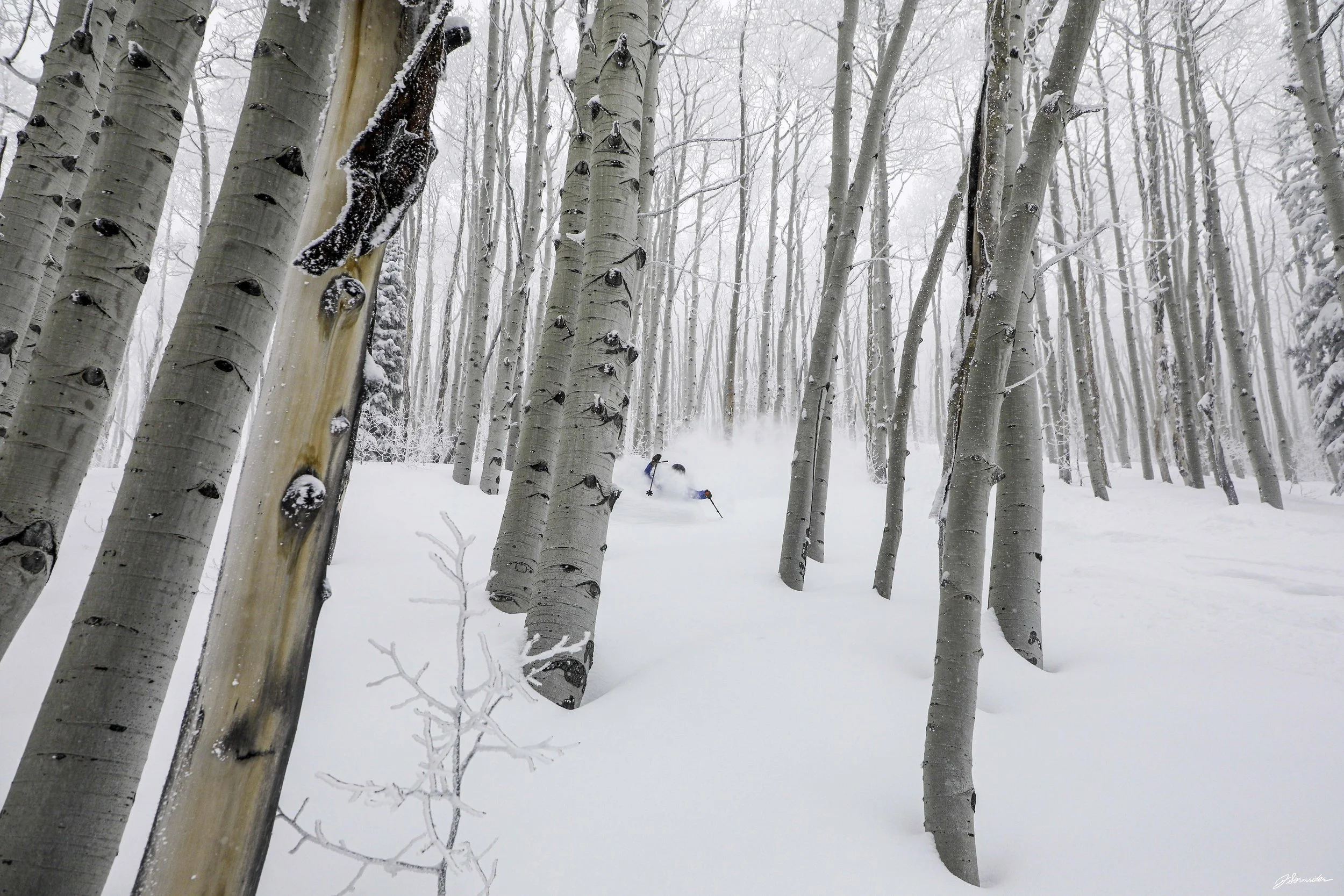 Powdercats_post_4_2_25 (10 of 10).jpg