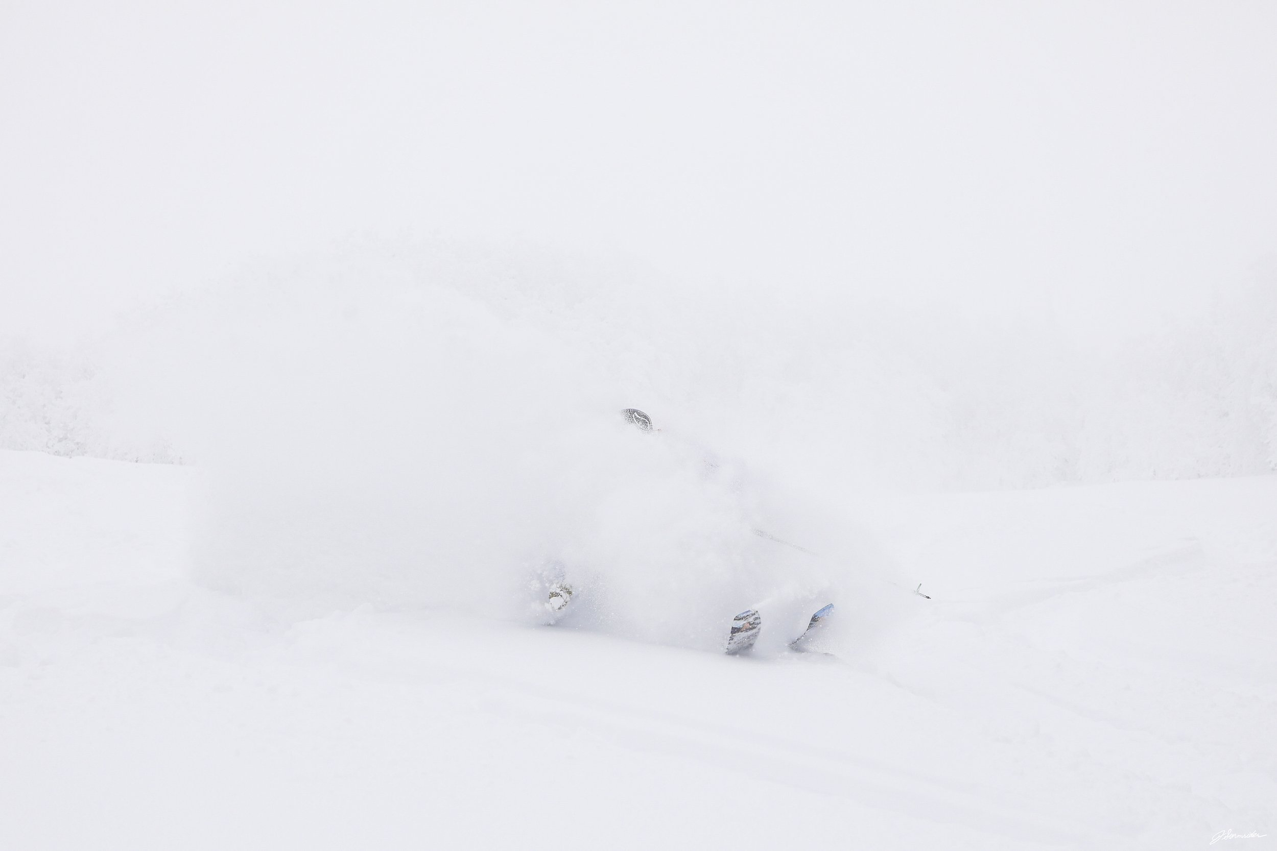 Powdercats_pittedl_post_5_7_25 (2 of 10).jpg