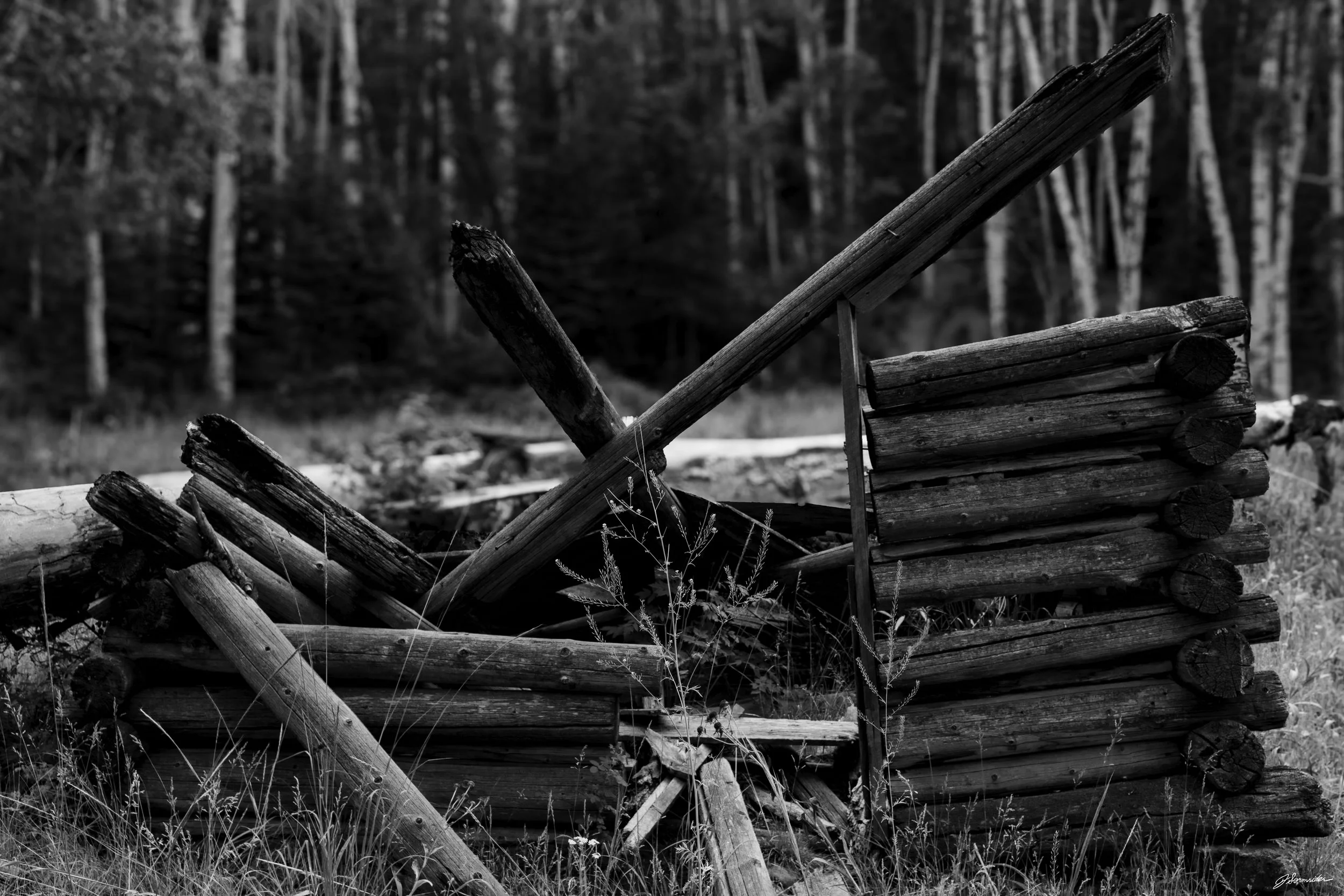 ethanhomestead1 (1 of 1).jpg