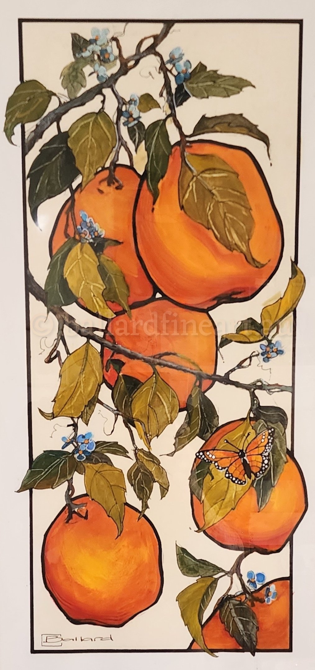 G#2 Oranges with Butterfly 300 x 600 mm