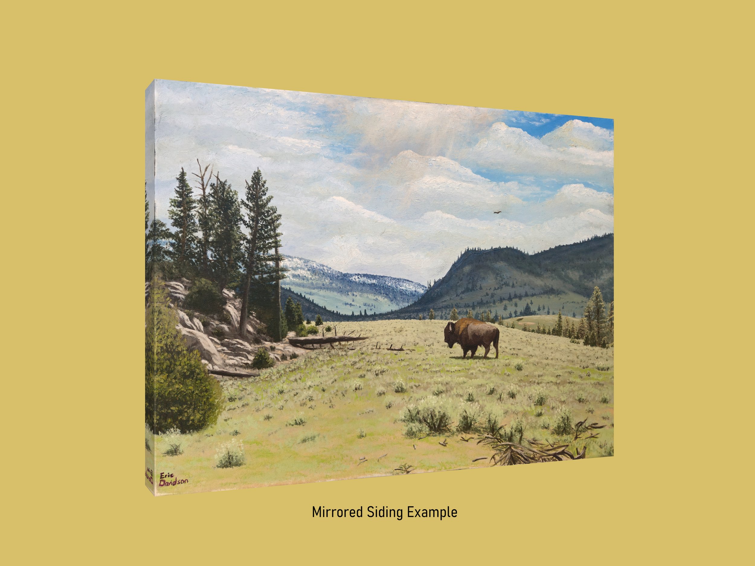 BuffaloPlateau_MirroredCanvasPrintExample.jpg