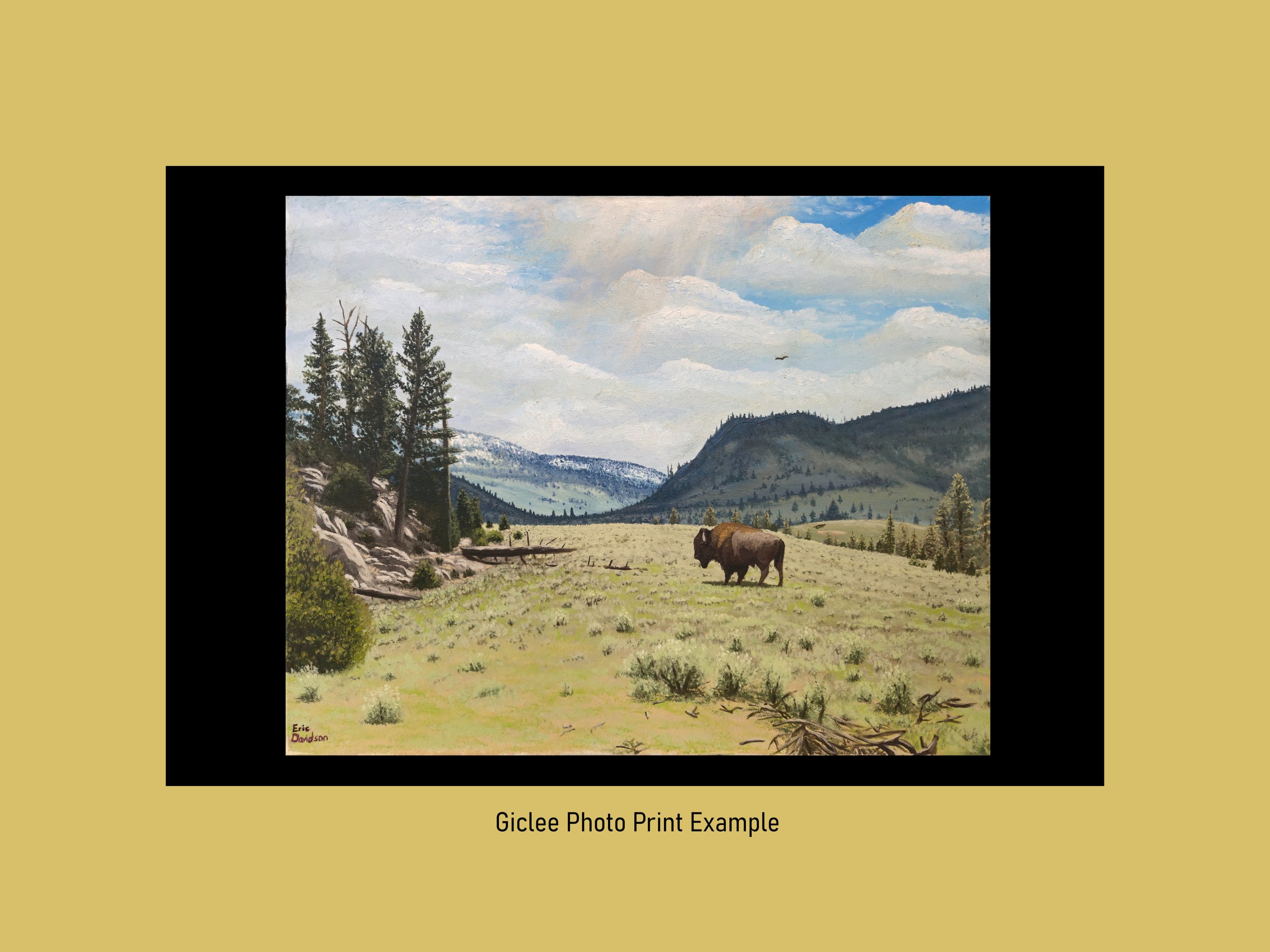 BuffaloPlateau_GicleePhotoPrintExample.jpg
