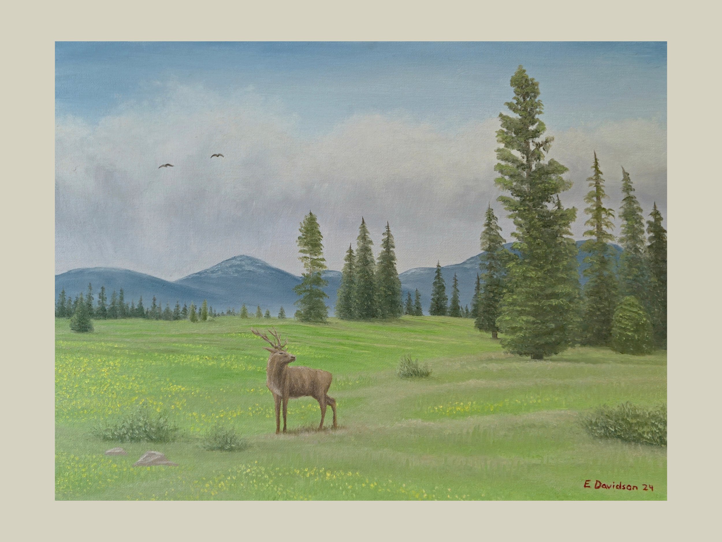 Spring Grazing