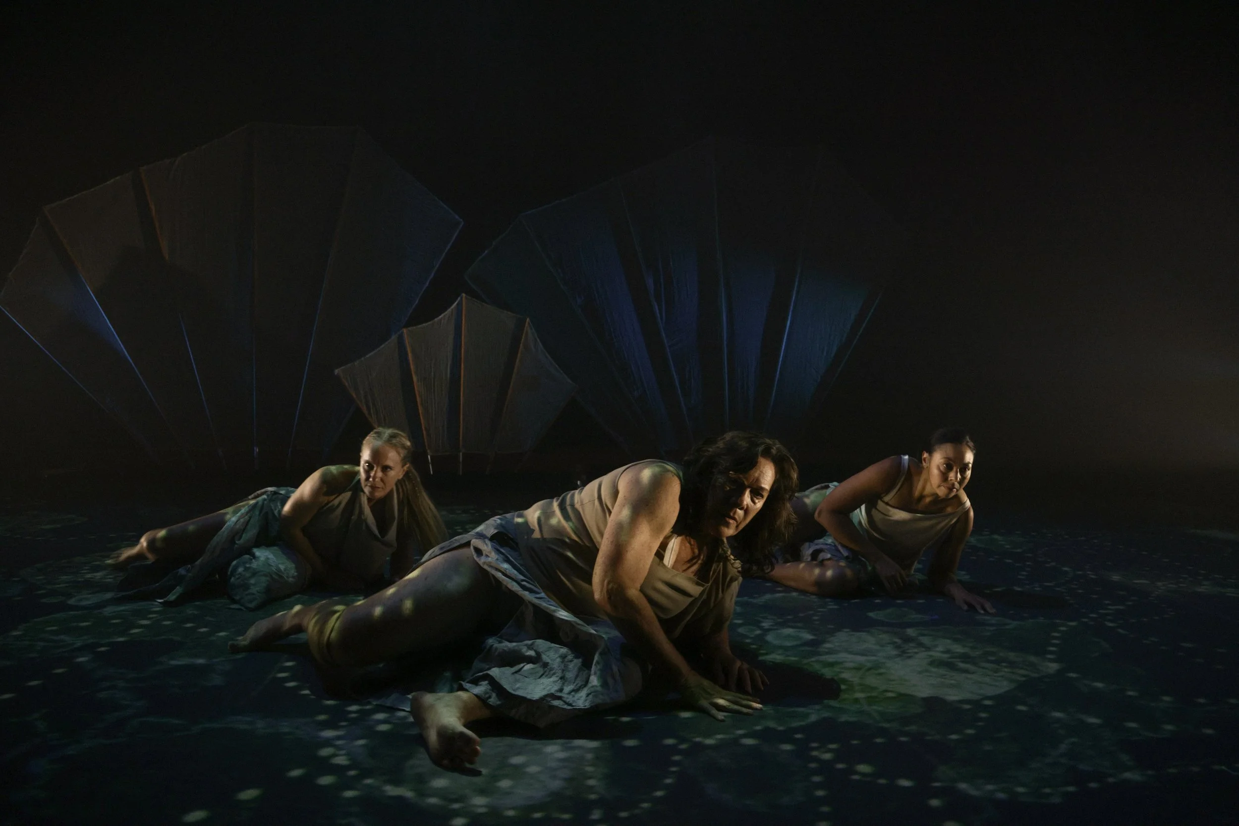 Preparing Ground | BlakDance & Brisbane Festival