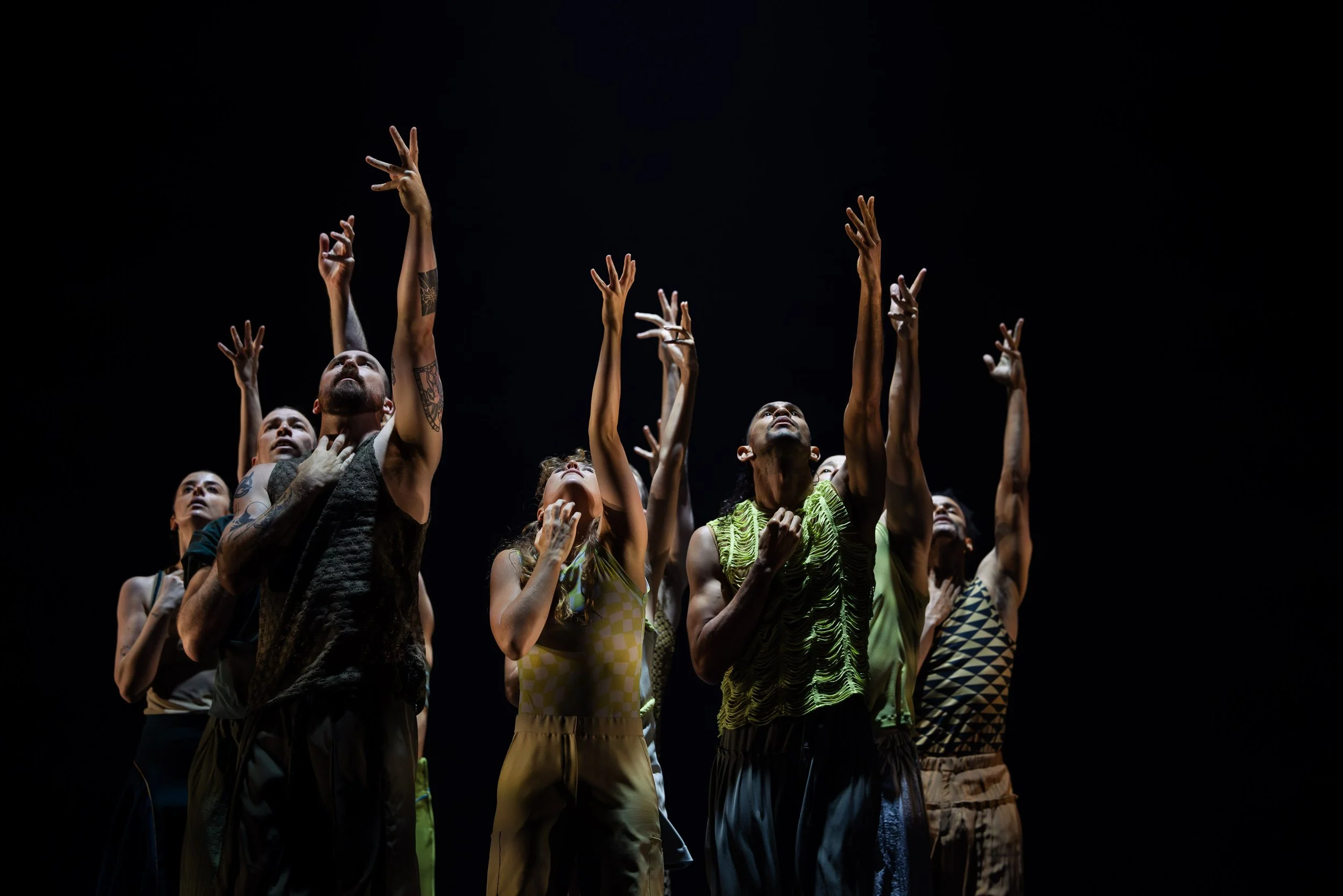 The Chronicles | Stephanie Lake Company