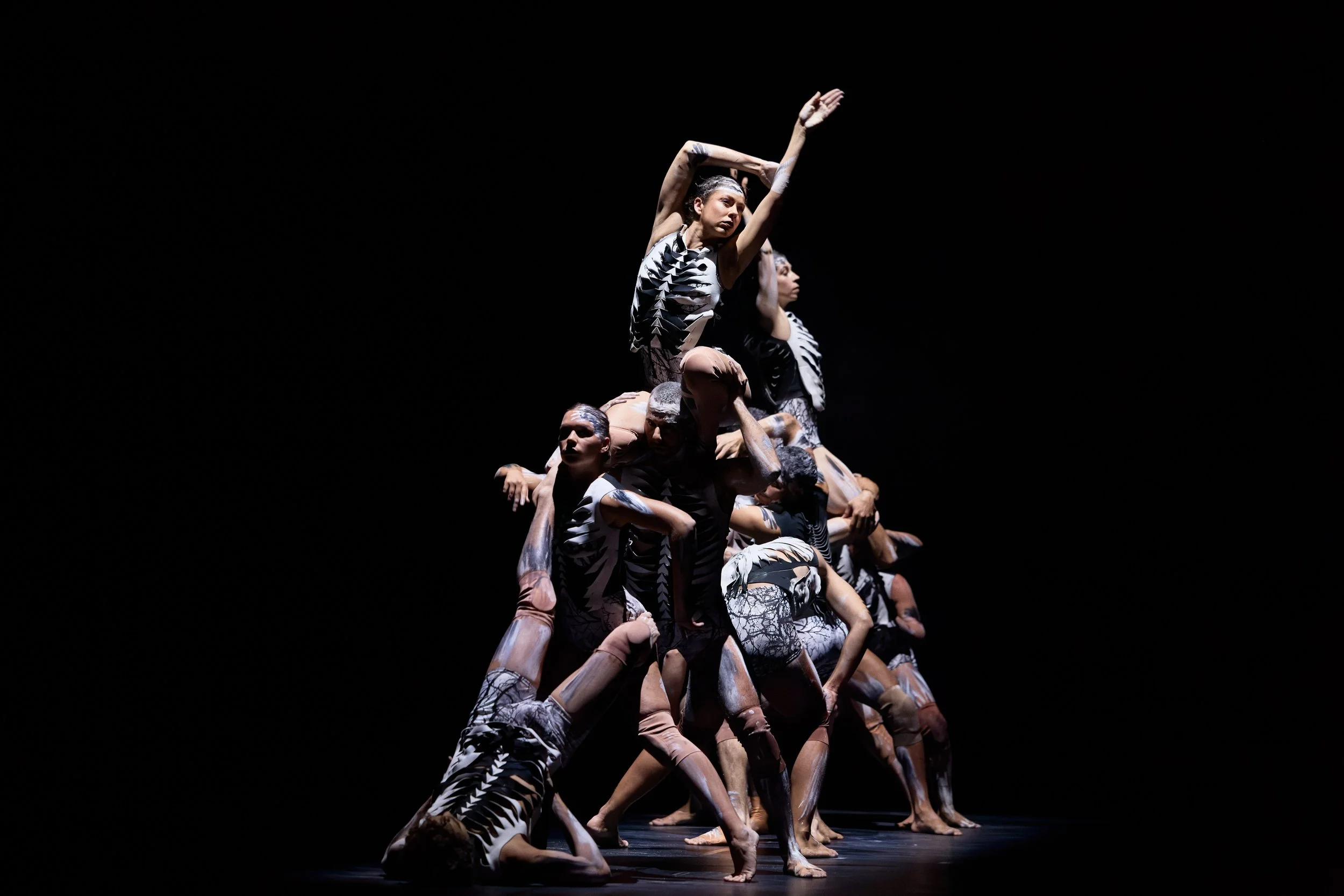 Sheltering | Bangarra Dance Theatre