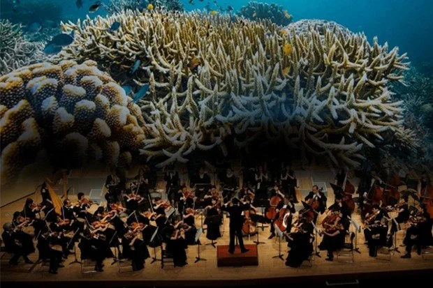 Attenborough’s Ocean in Concert | Camerata