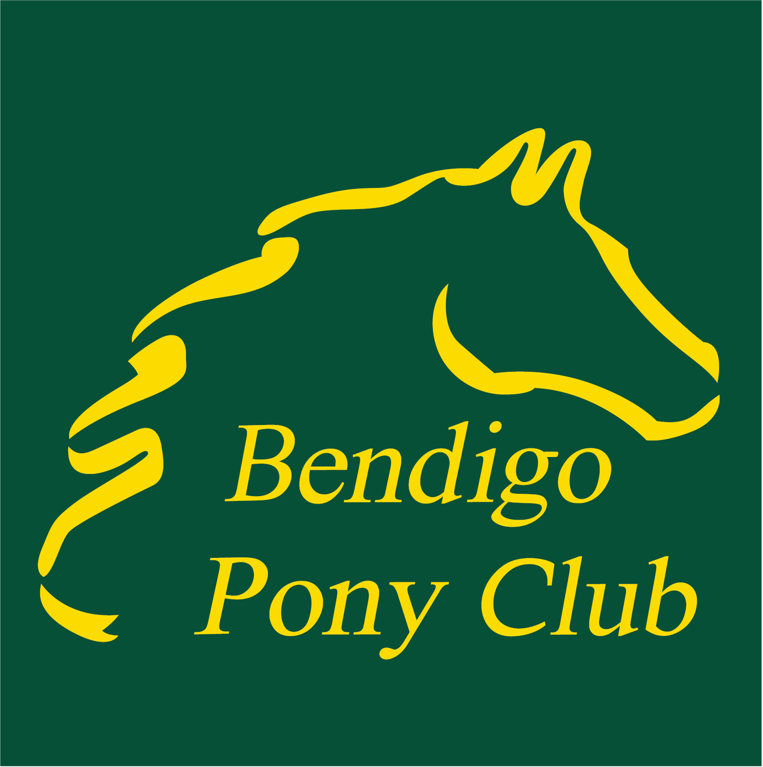 Bendigo Pony Club