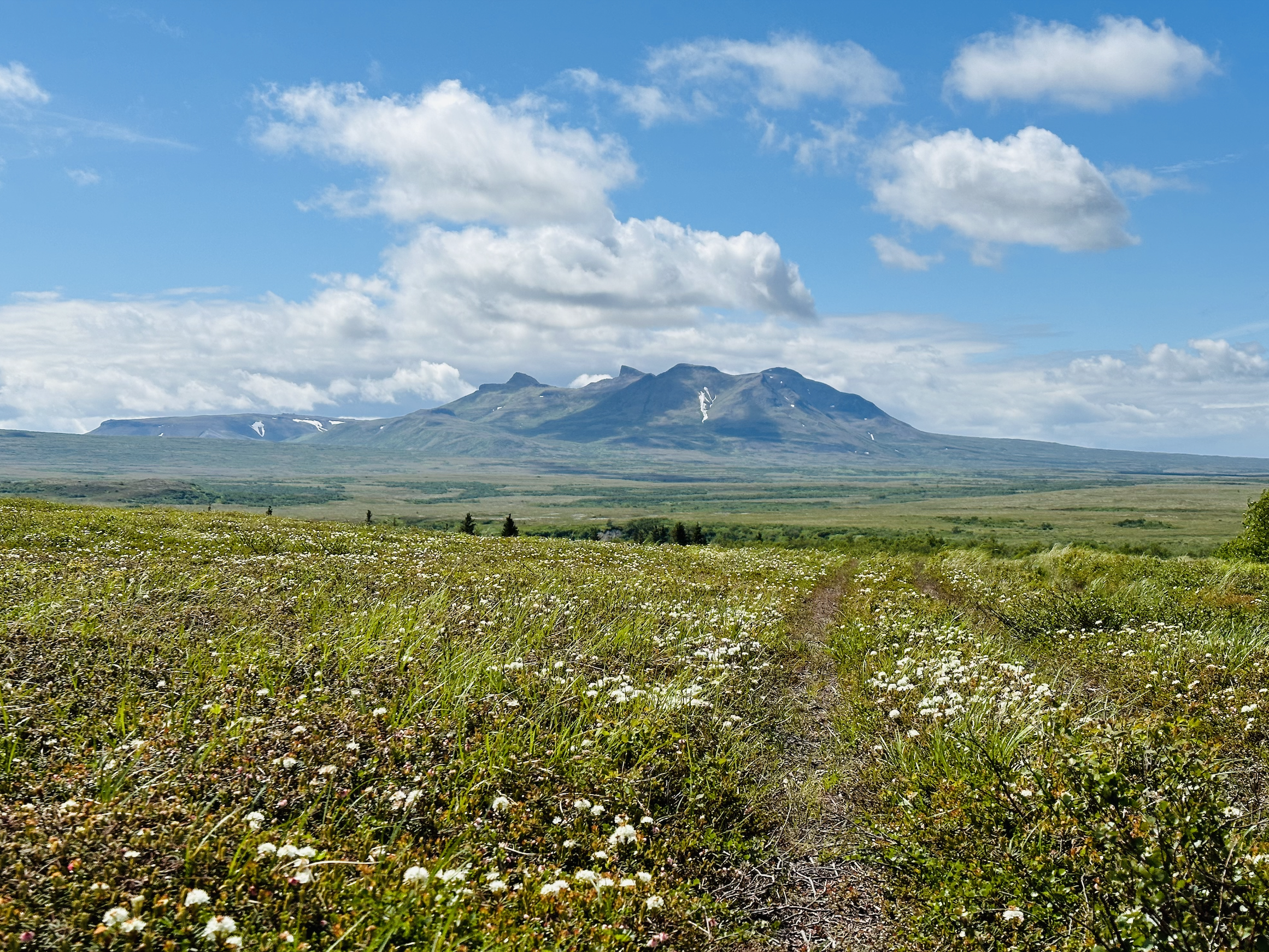 Screen Shot 2025-12-31 at 11.45.37 AM.png