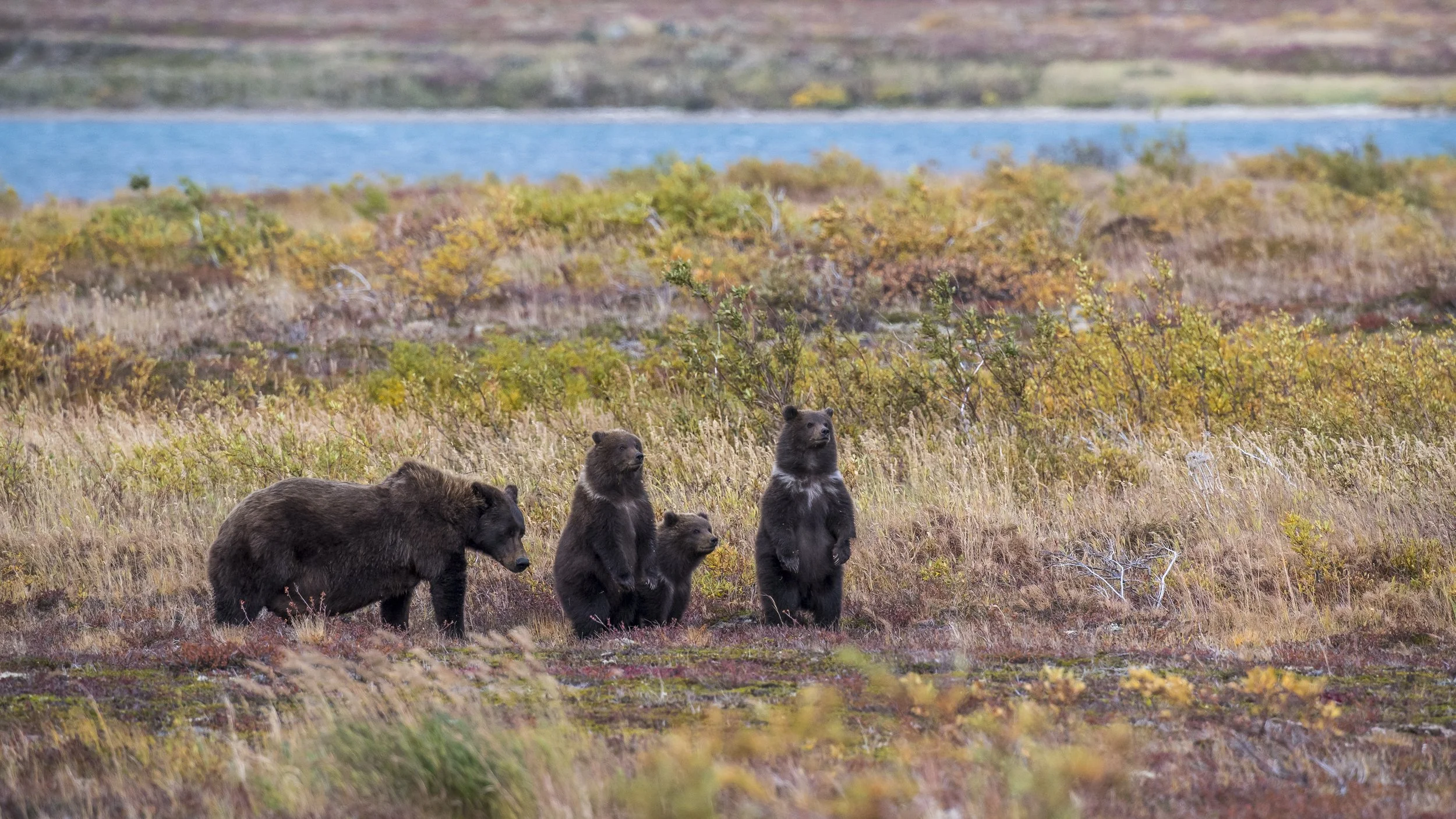 ATV Tours (per passenger)