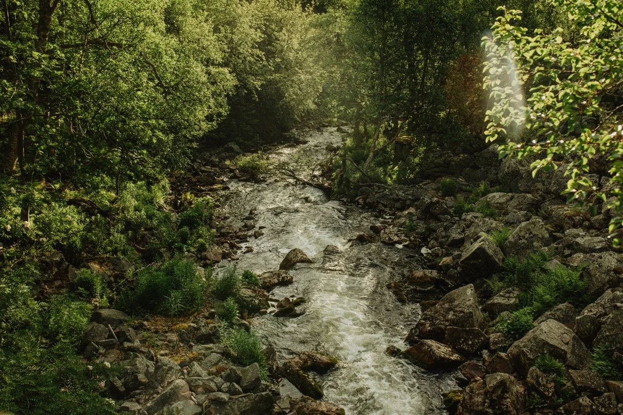Skogsbad TG.jpeg