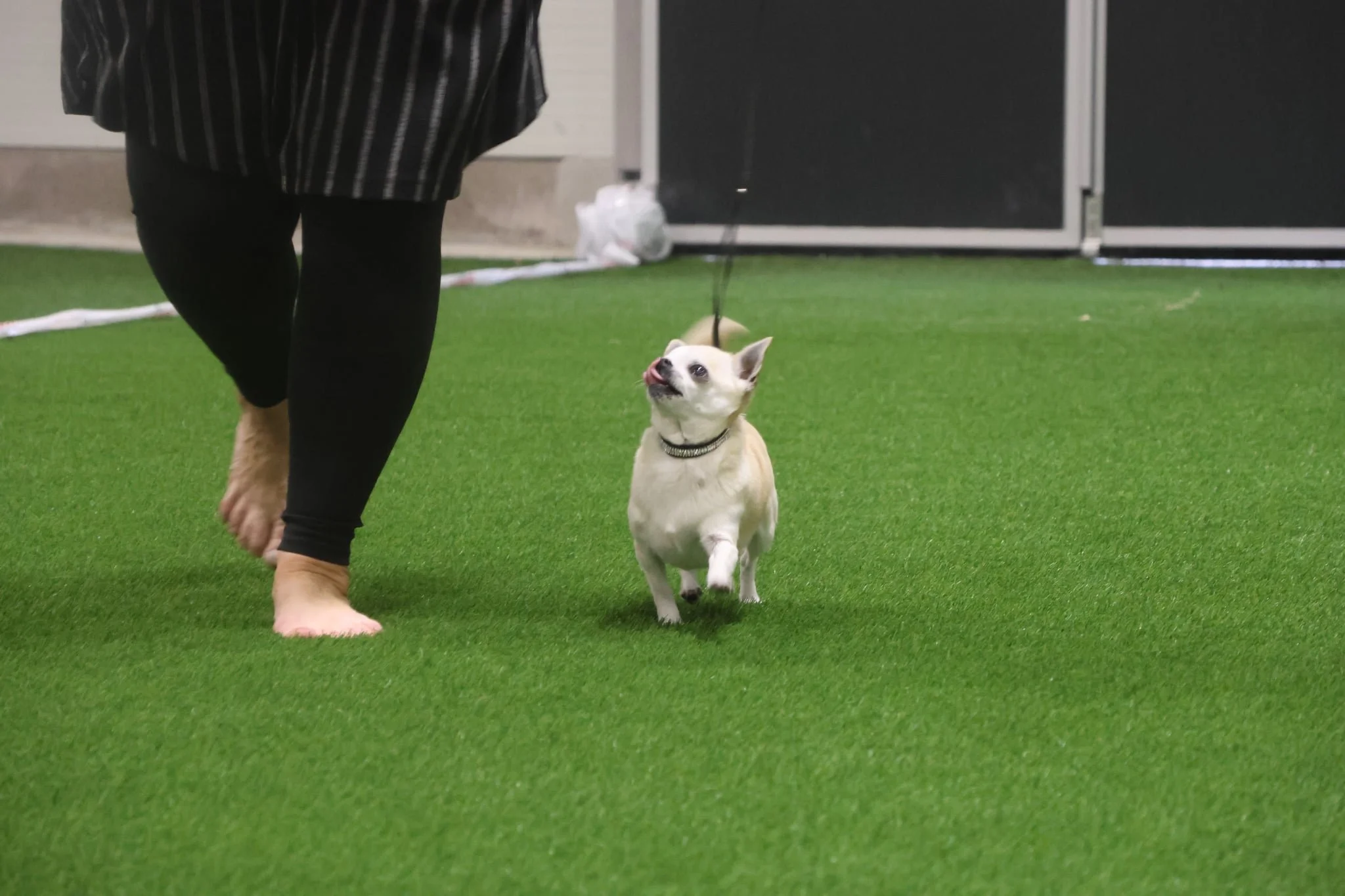 Hund 2 BHK.jpeg