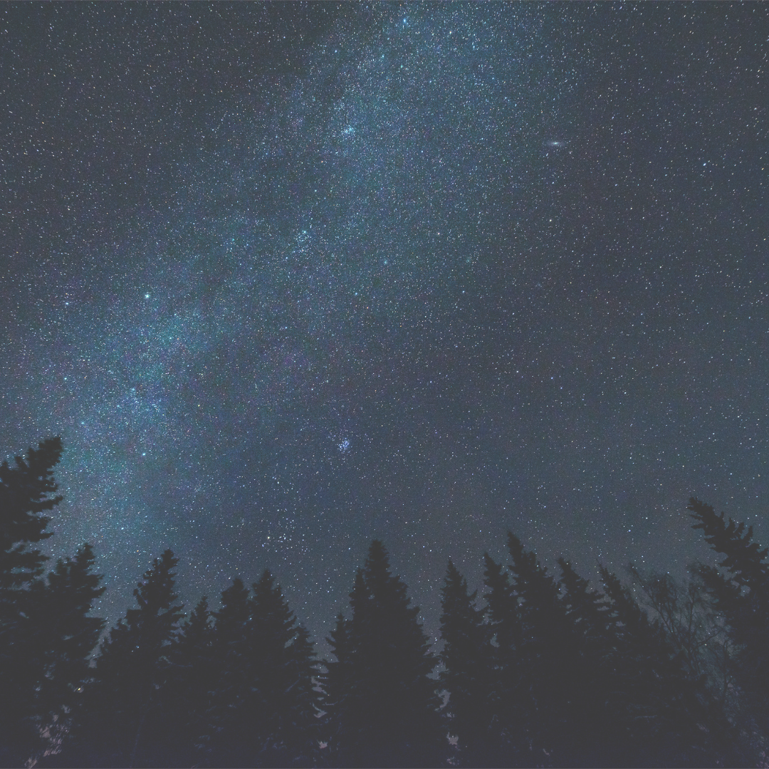 Stjärnhimmel @canva.png
