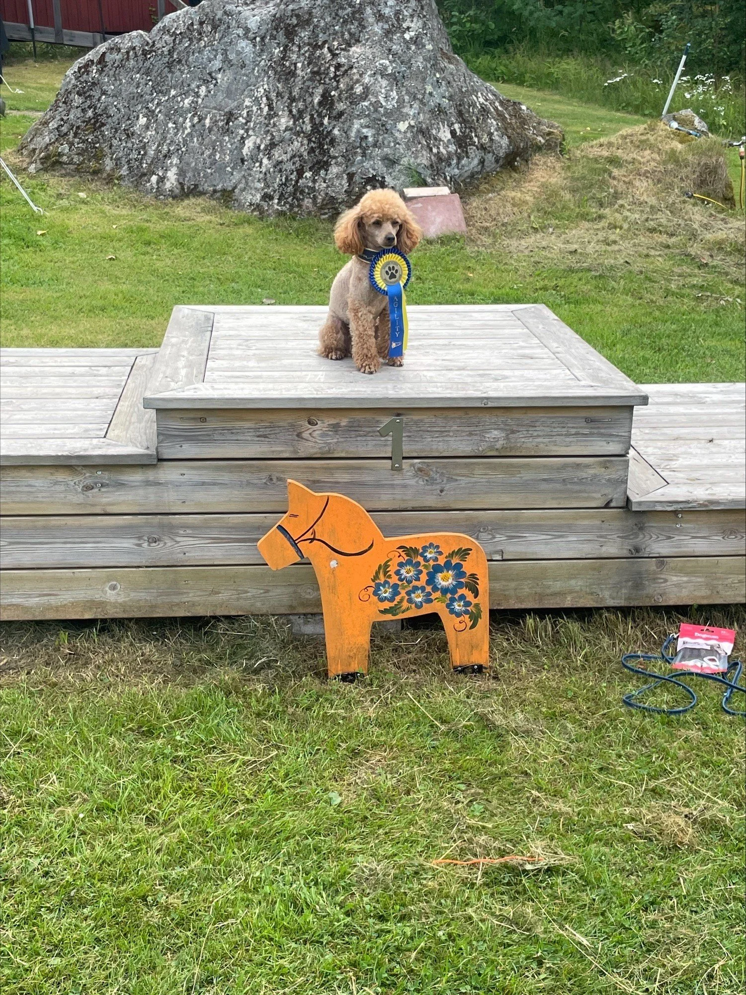 Hund 3 BHK.jpg