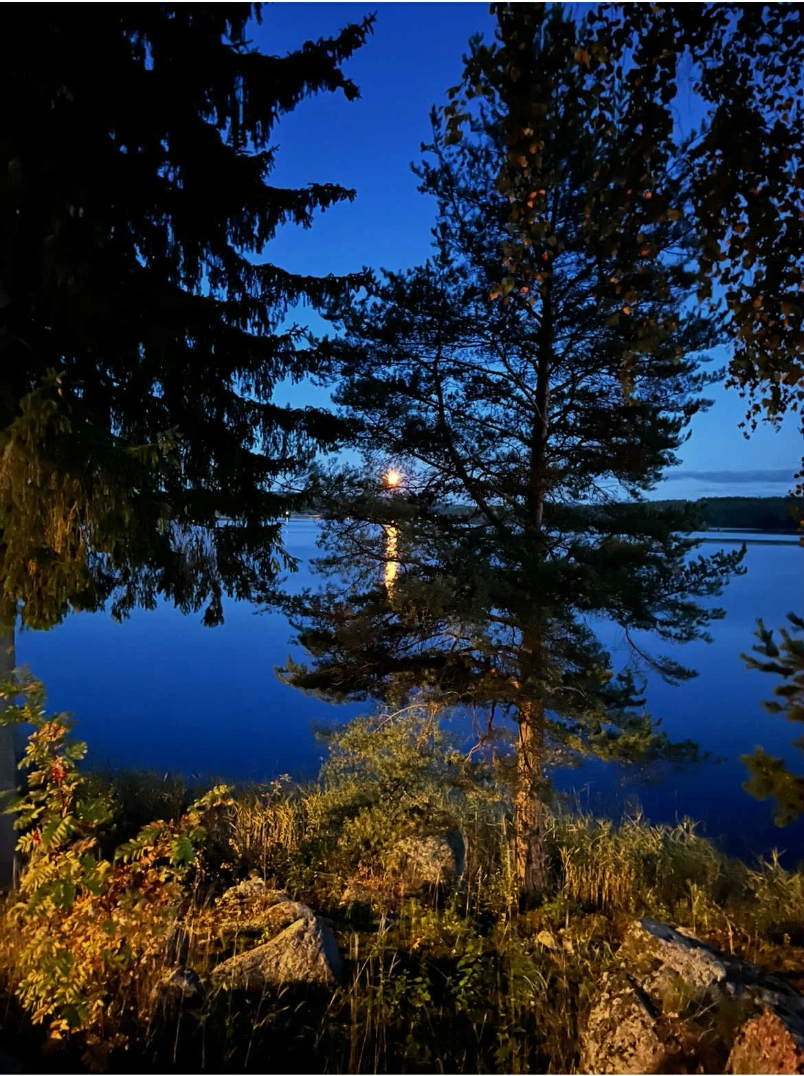 Solnedgång SC.jpeg