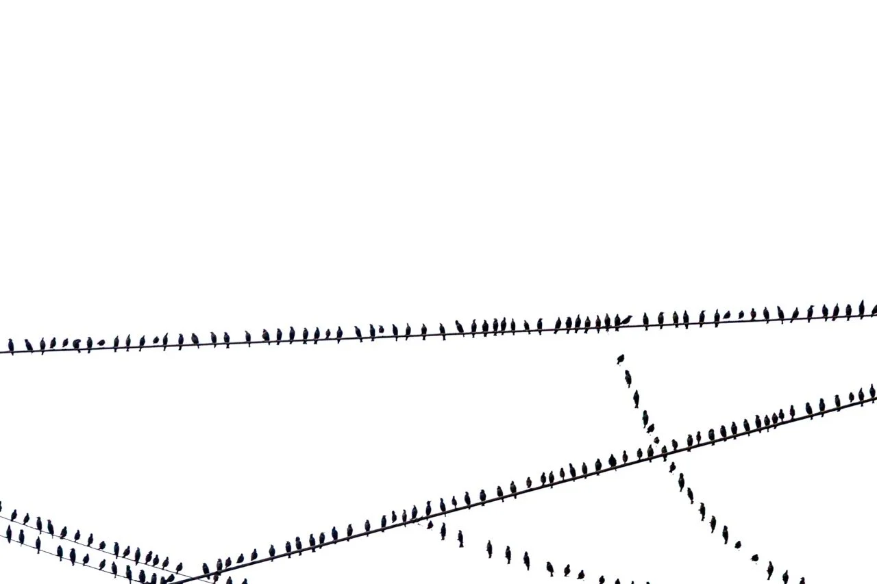 Groß (ELI_3527).jpeg