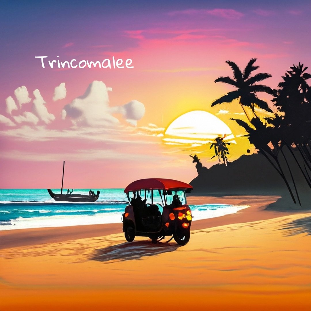 Bright colors, beautiful sunsets, big waves, and endless adventures. Plan your next adventure with  tuk-tuk ctour.

#trincomalee #north #srilanka #travel #adventure