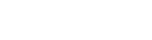 OPUS COMPANY