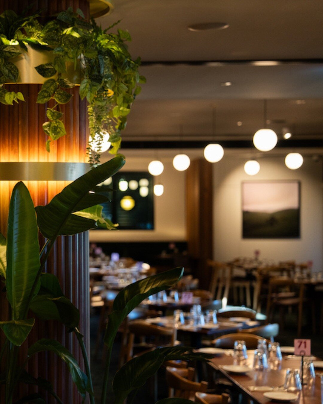 Enriching spaces with creativity, expertise, and tailored design &ndash; take a glimpse at @marionhotel's dining area.
 
Enquire with us today.

Architects: @studioninearchitects 
Builder: @sarah_constructions 
Upholstery: @warwickfabrics 
Carpet: @b