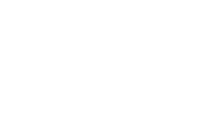 SURROUND INTERIORS                  BY FLEUR LINKE