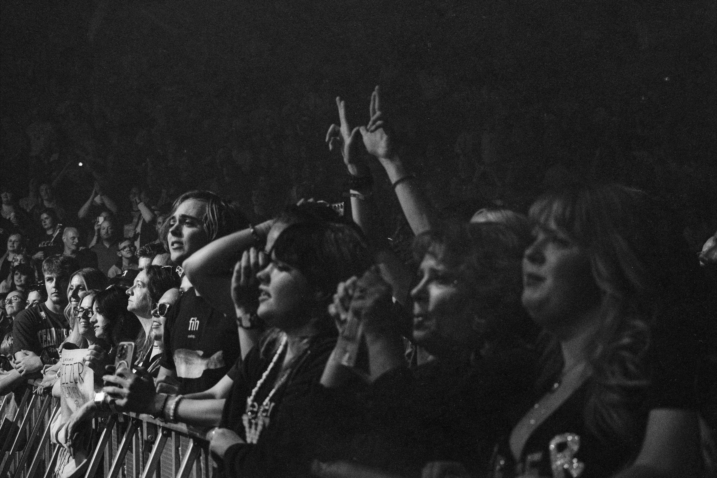 08Weezer_CrowdShot.jpg