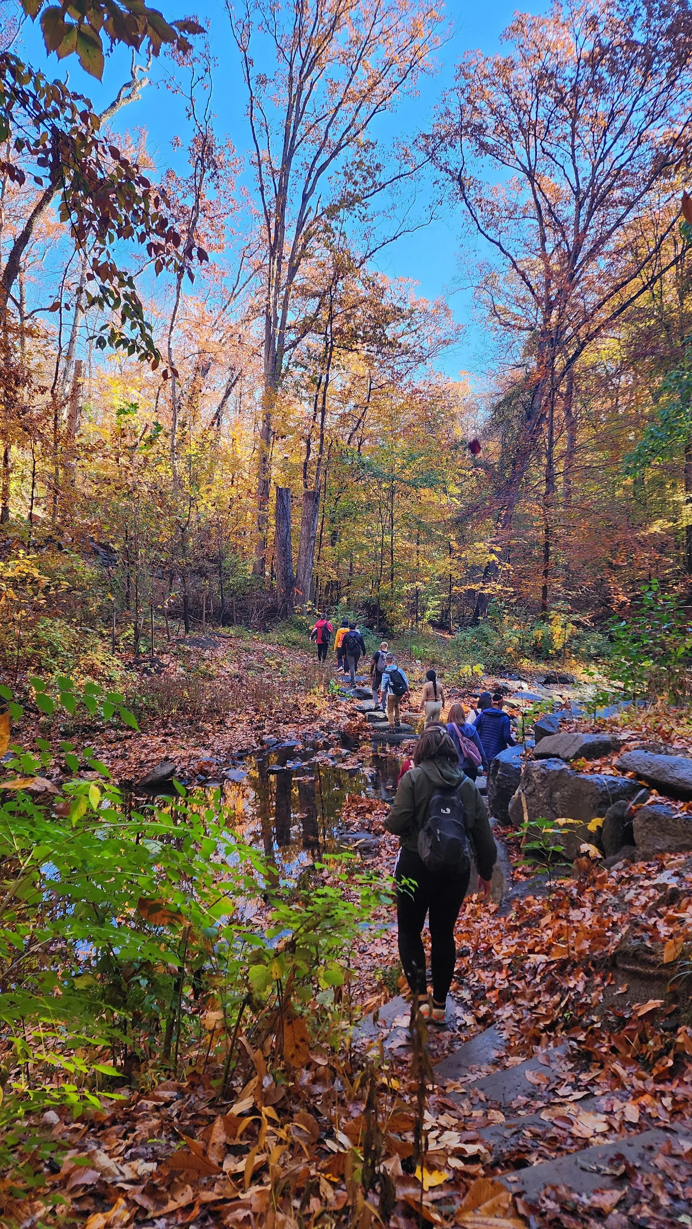 Trip Report: Young Members 