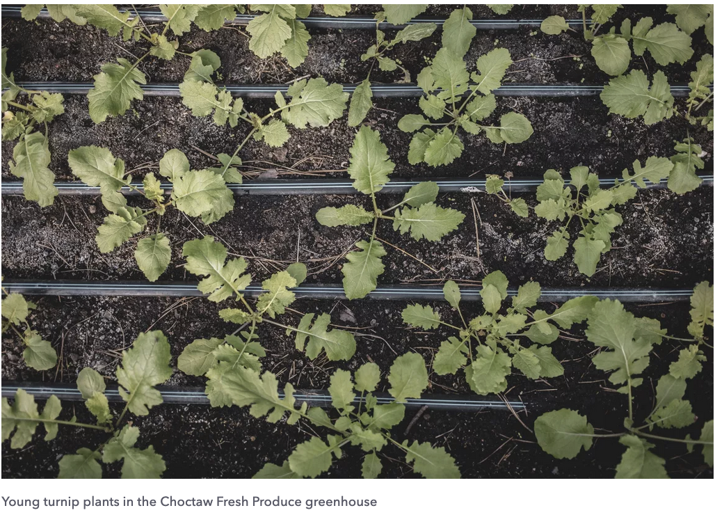 Screenshot 2026-01-27 at 2.27.24 PM.png