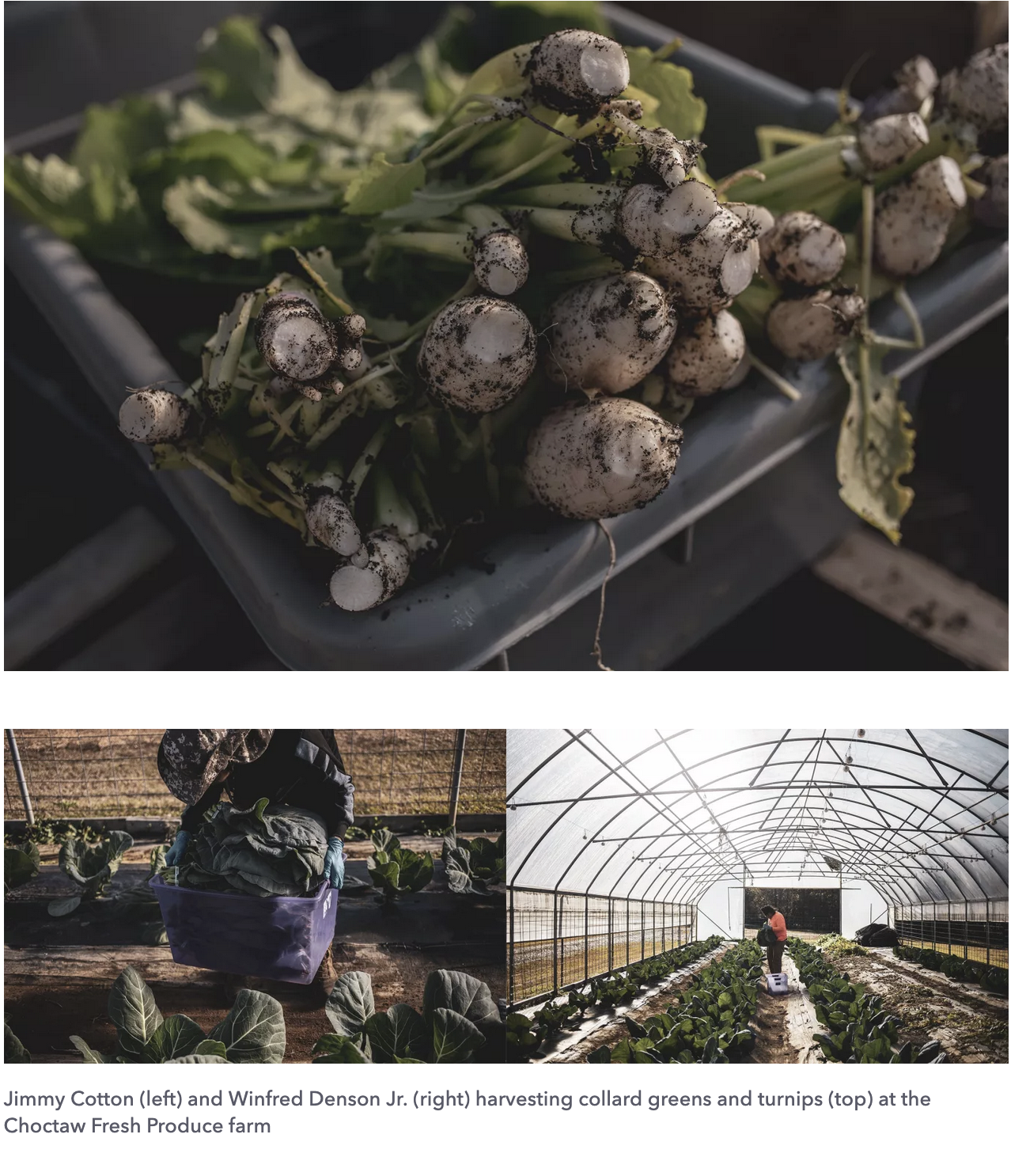 Screenshot 2026-01-27 at 2.26.45 PM.png