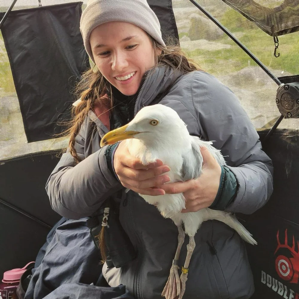 Biologist Artoc Lab Members — Arctic Ecology Lab