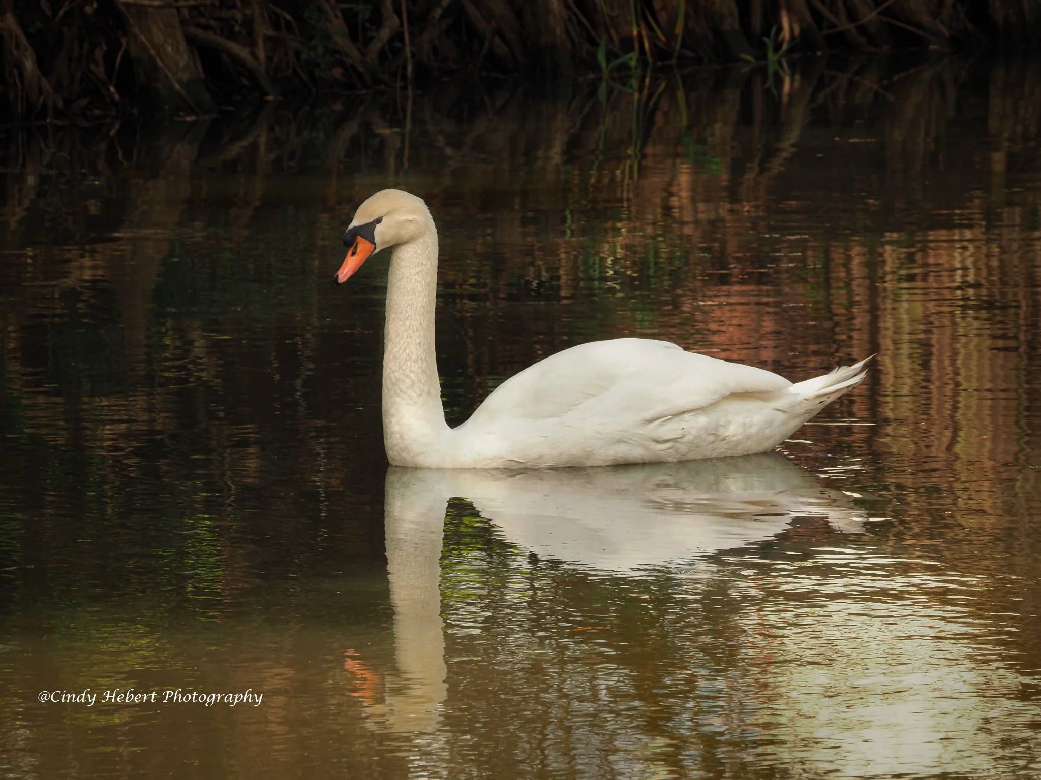 P3060023-2 - Copy.jpg