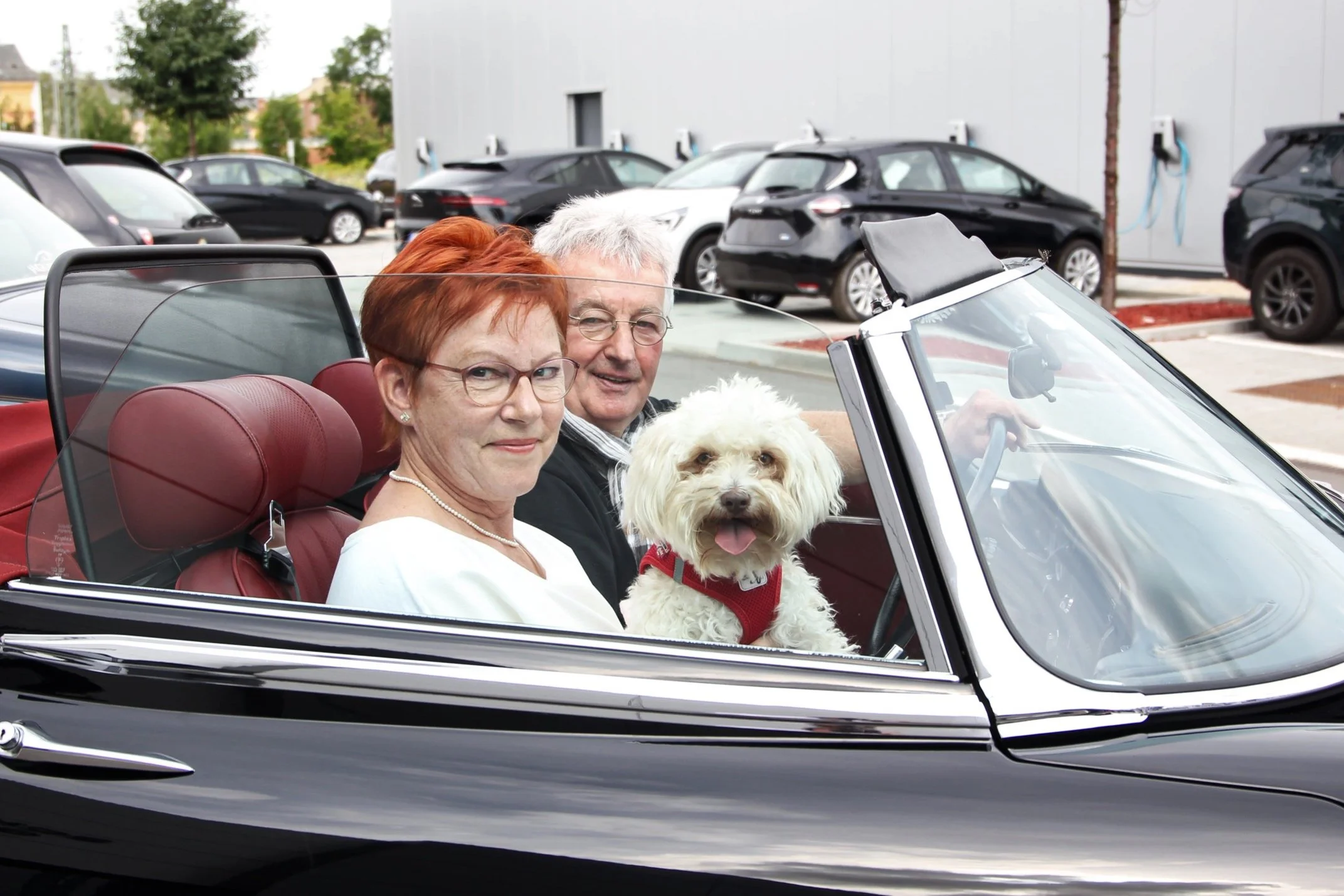 Jaguarstyle_BOR+Schneider+Gruppe+%282%29.jpg