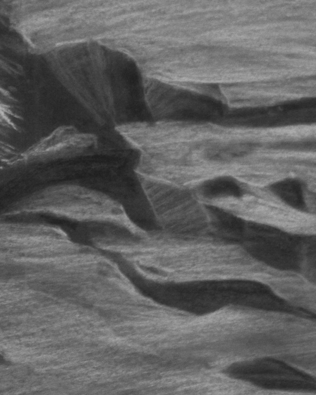 detailshots-detail-3-1790264809822.png