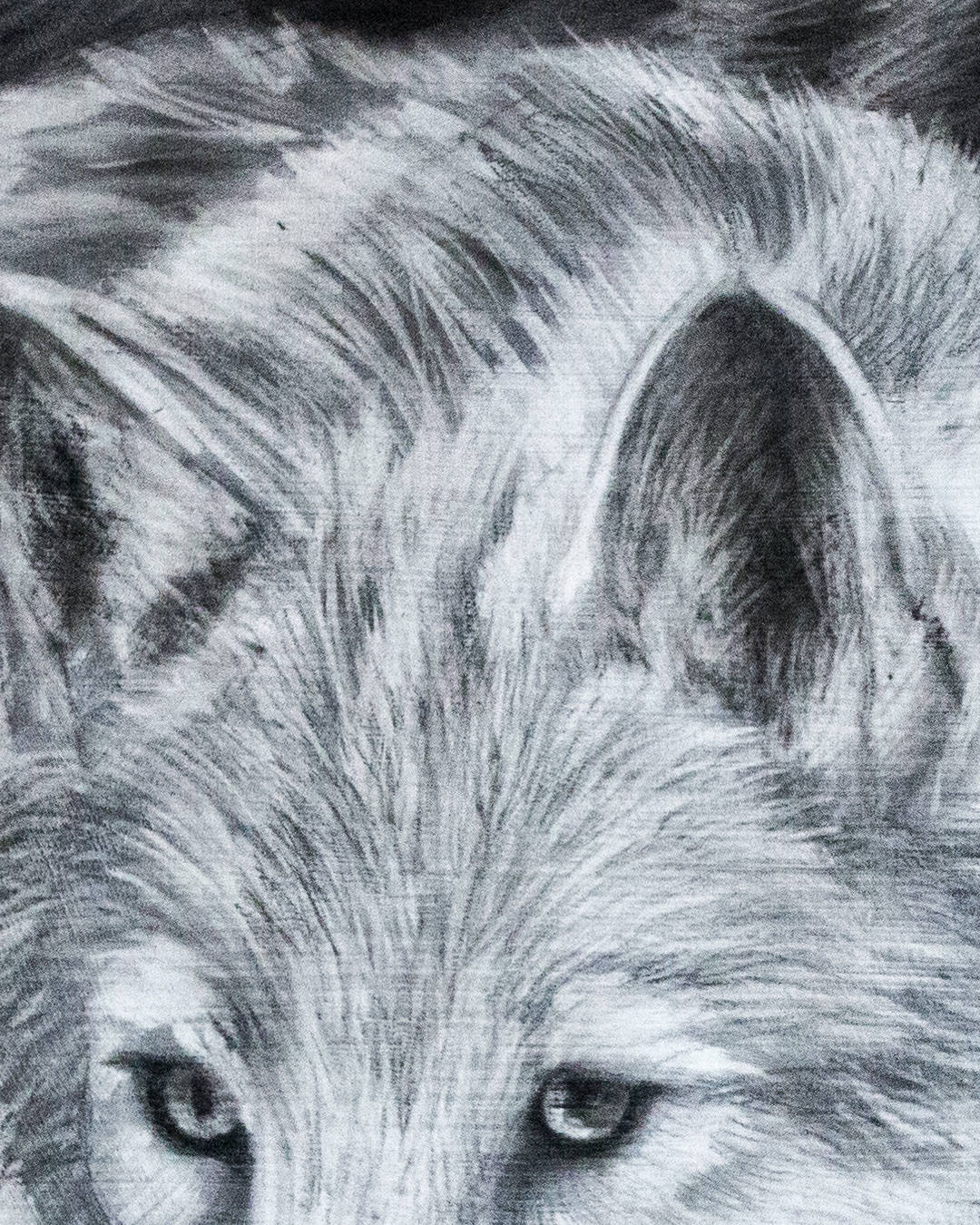detailshots-detail-1-1790264313526.png