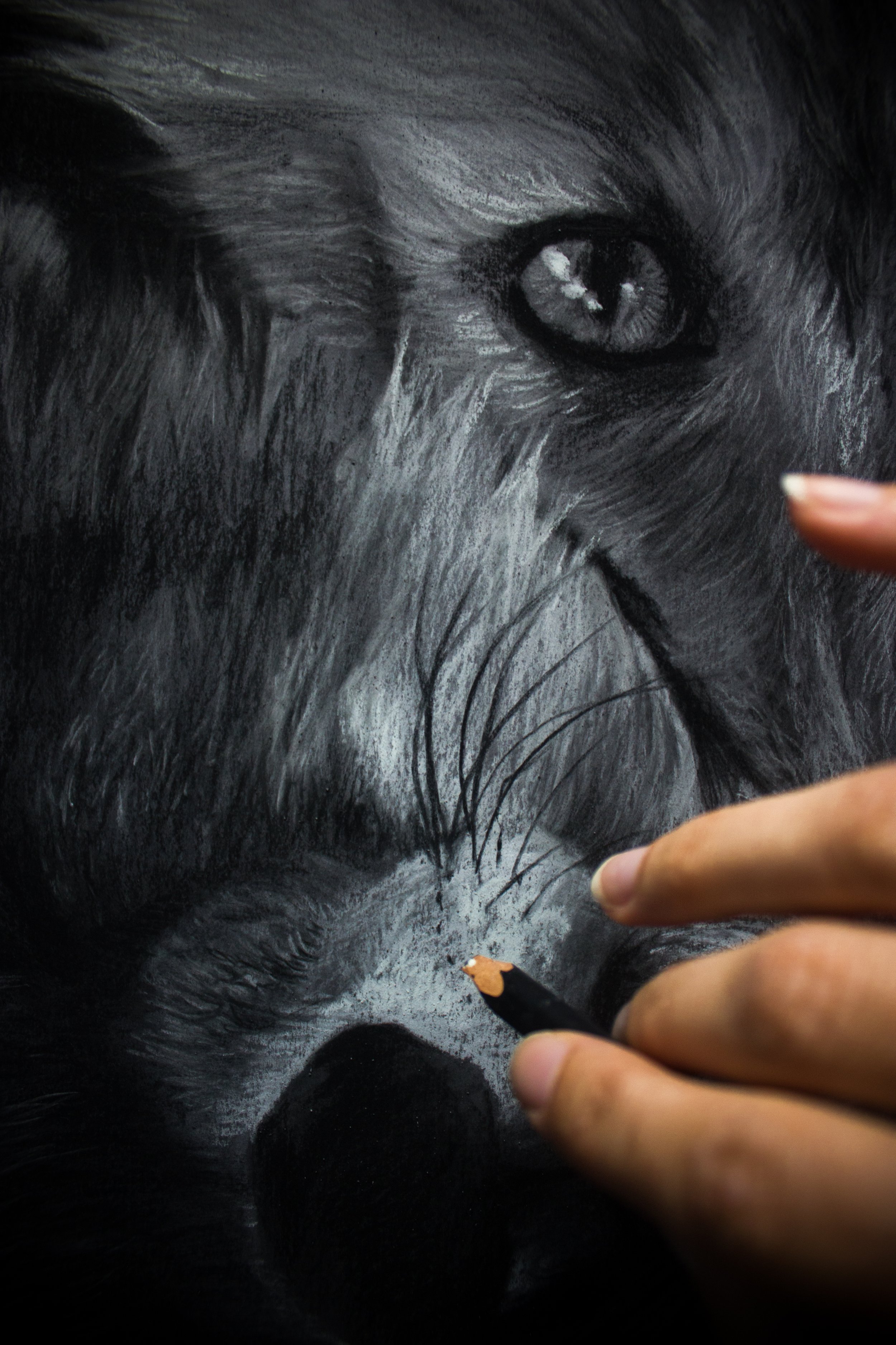 IMG_4892retouches.jpg