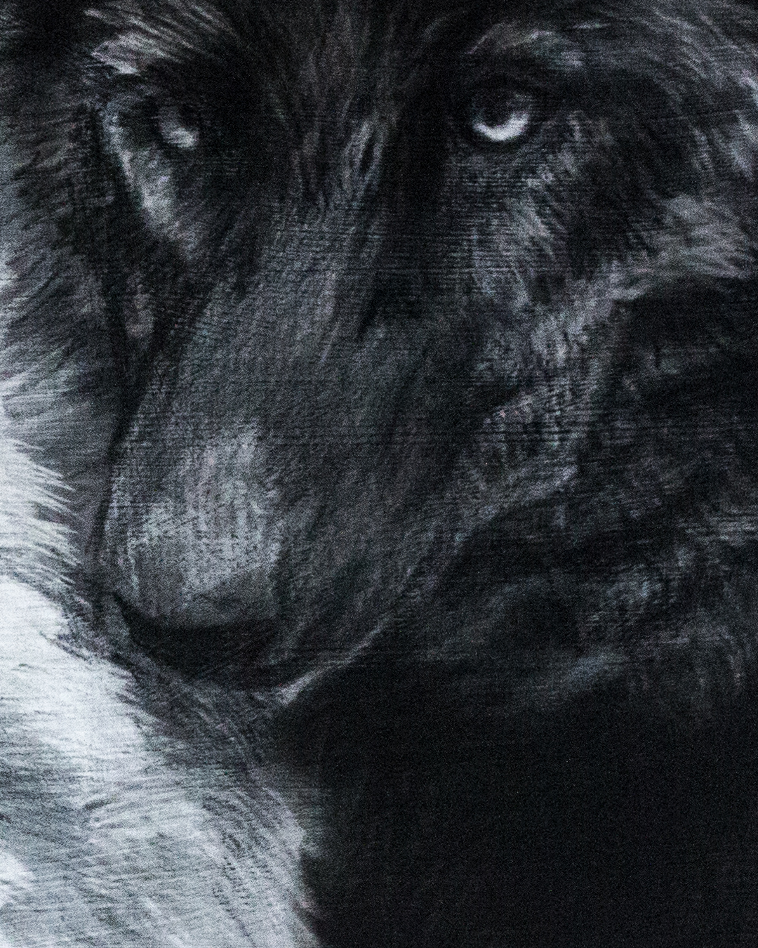 detailshots-detail-2-1790264313526.png