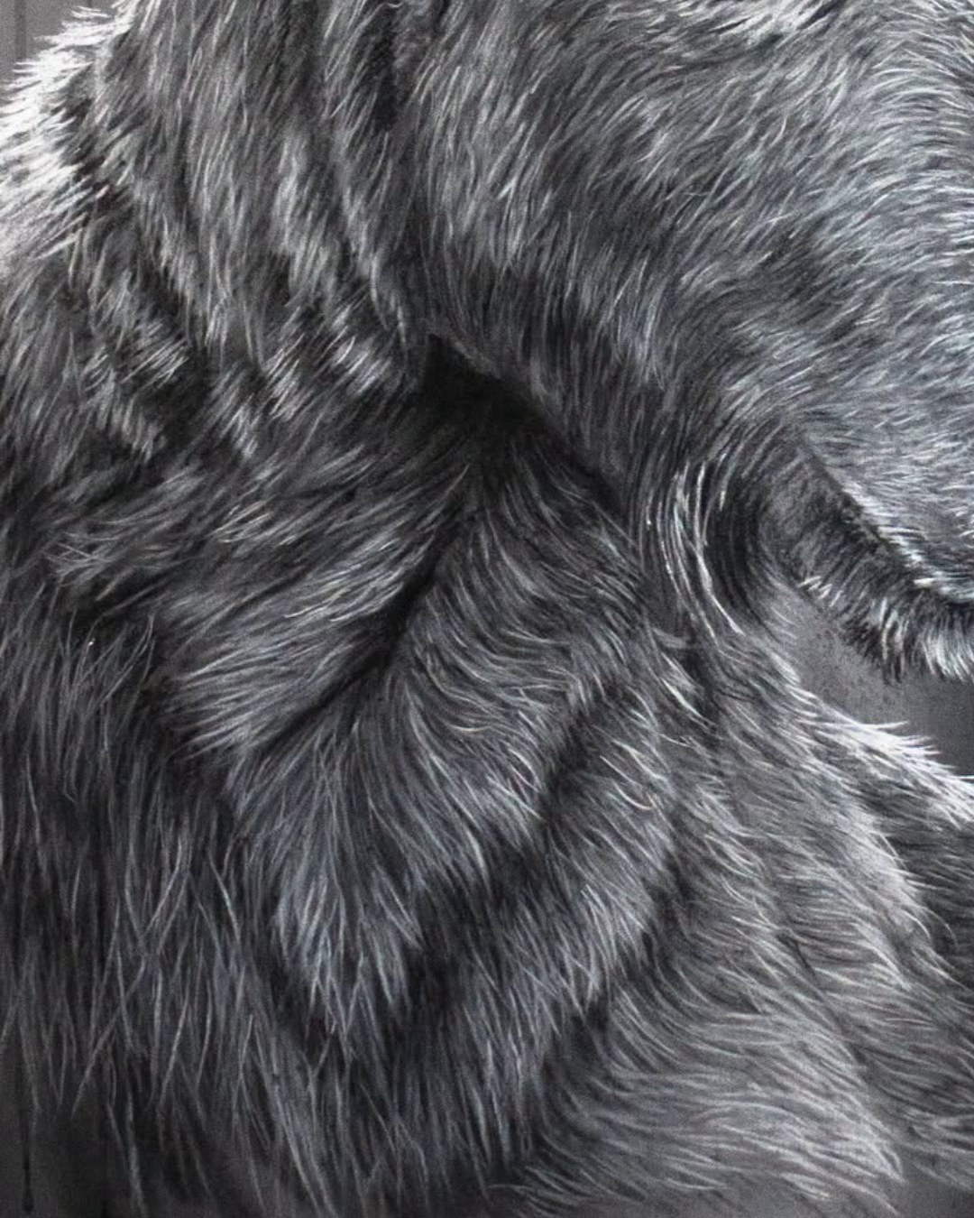 detailshots-detail-3-1790270441418.png