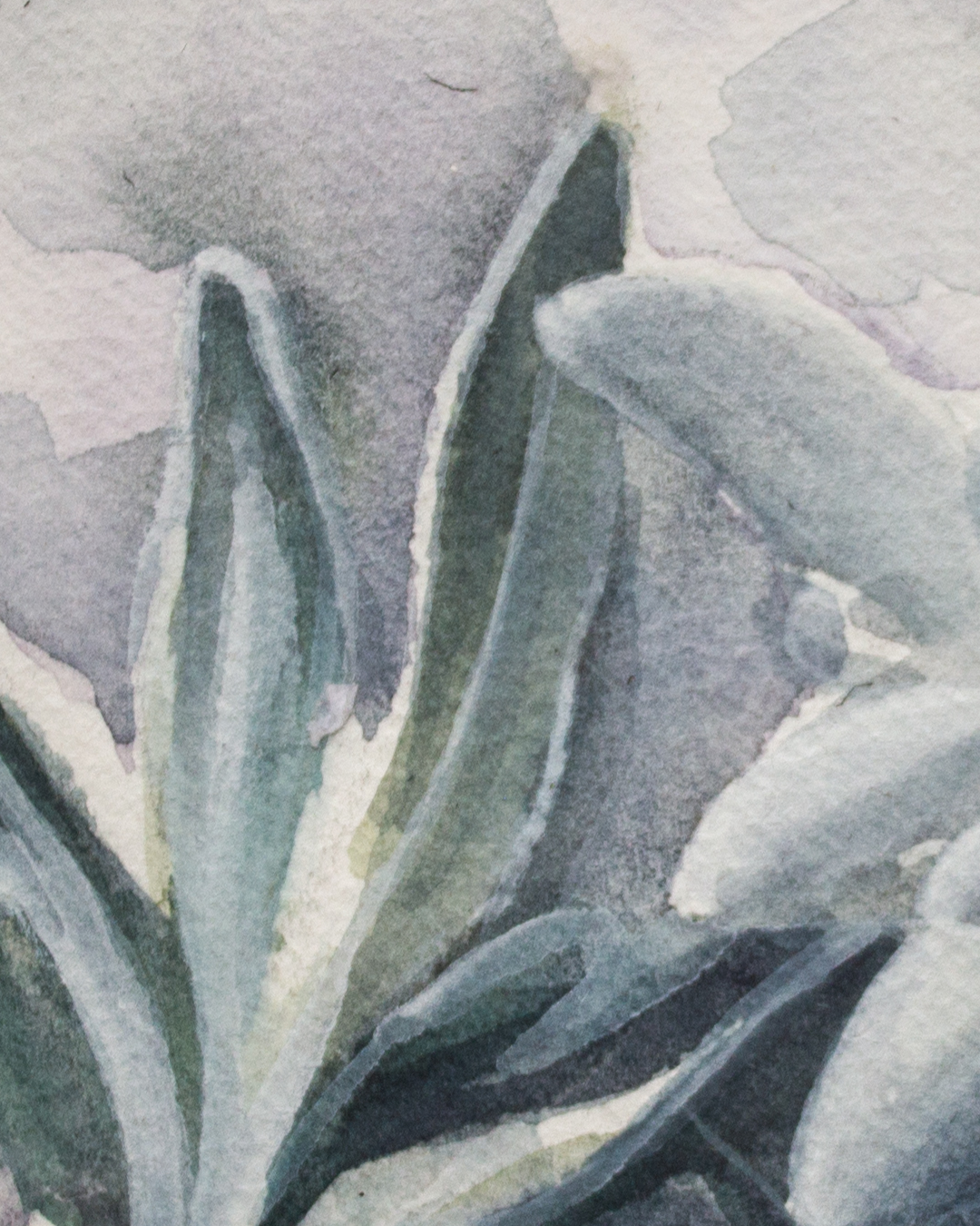 detailshots-detail-2-1790264760942.png