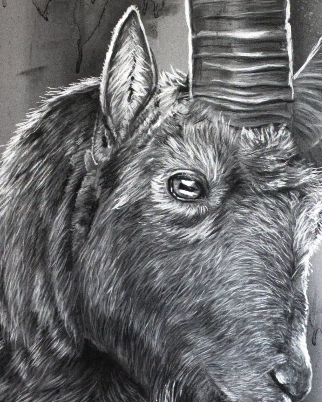 detailshots-detail-2-1790270441418.png