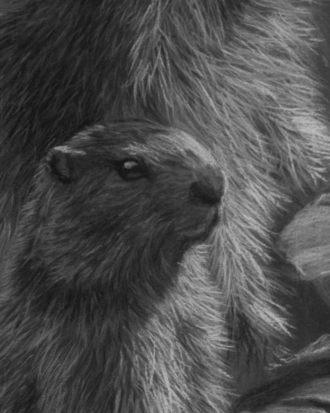 detailshots-detail-2-1790264809822.png