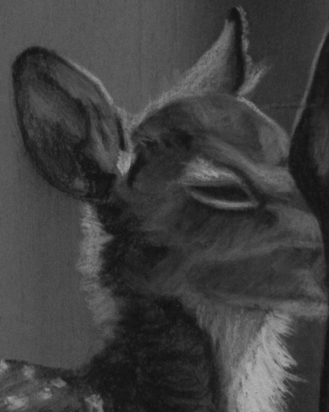 detailshots-detail-1-1790264850014.png